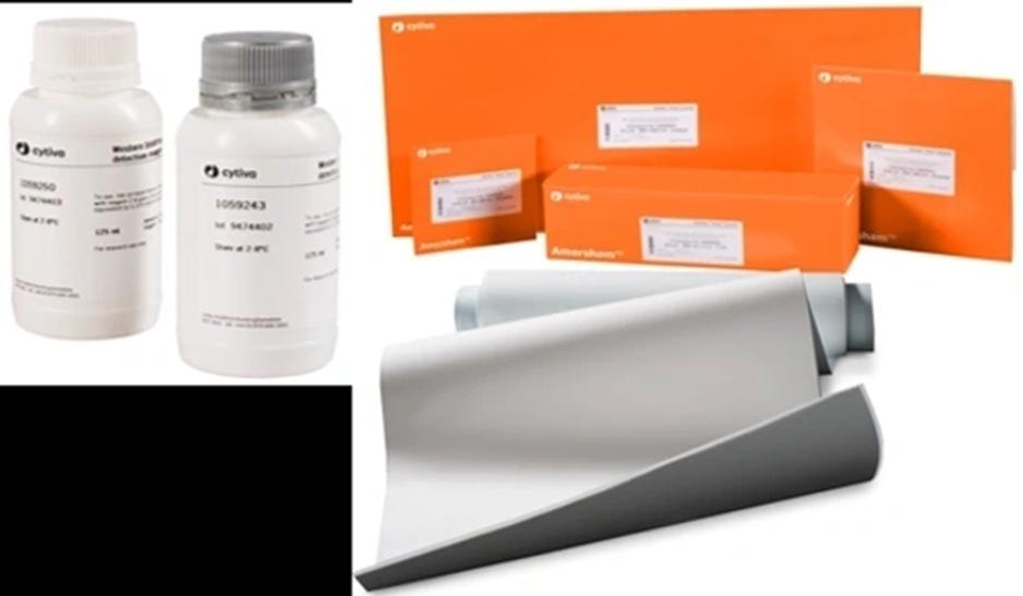 Cytiva Amersham ECL reagents, orange boxes and membrane rolls