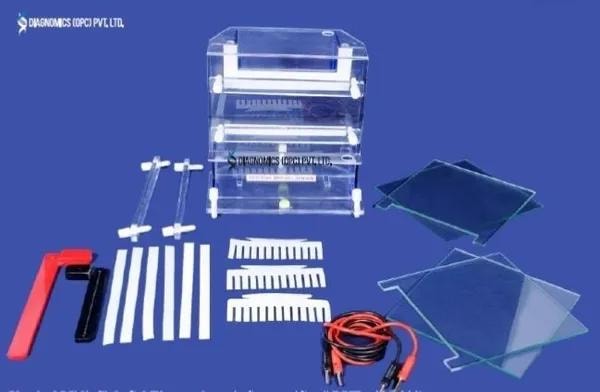 Diagnomics Electrophoresis Unit