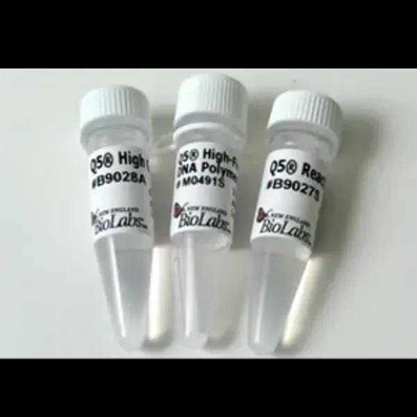 Q5 High-Fidelity DNA Polymerase vials from New England BioLabs — Q5 High-Fidelity, Q5 Hot Start, and Q5 Reaction Buffer